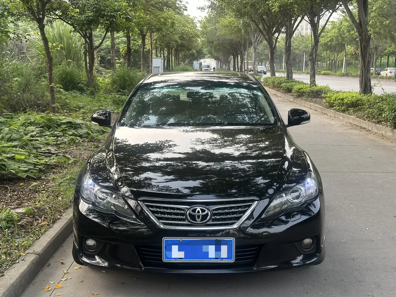 Toyota Ruizhi