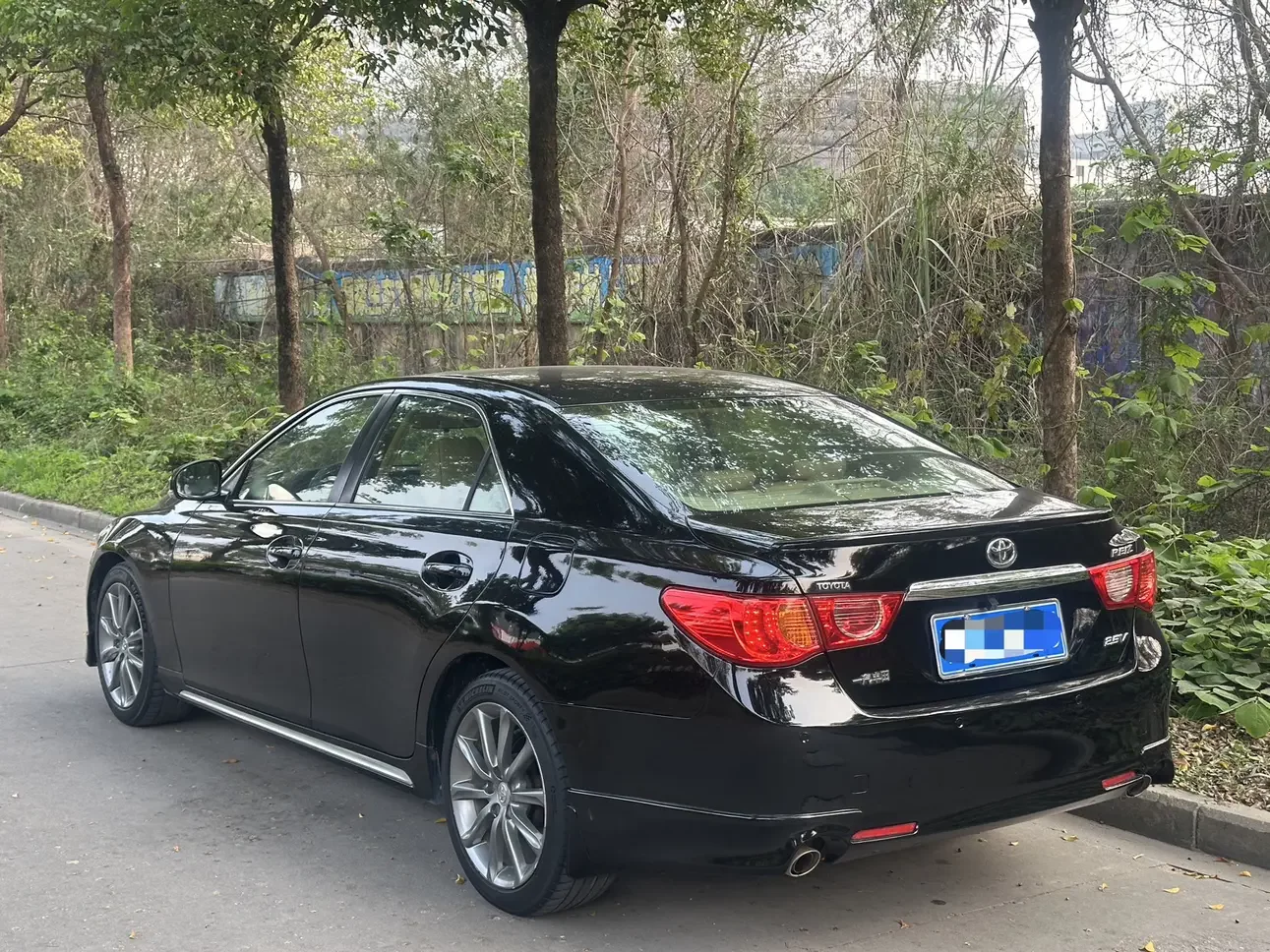 Toyota Ruizhi
