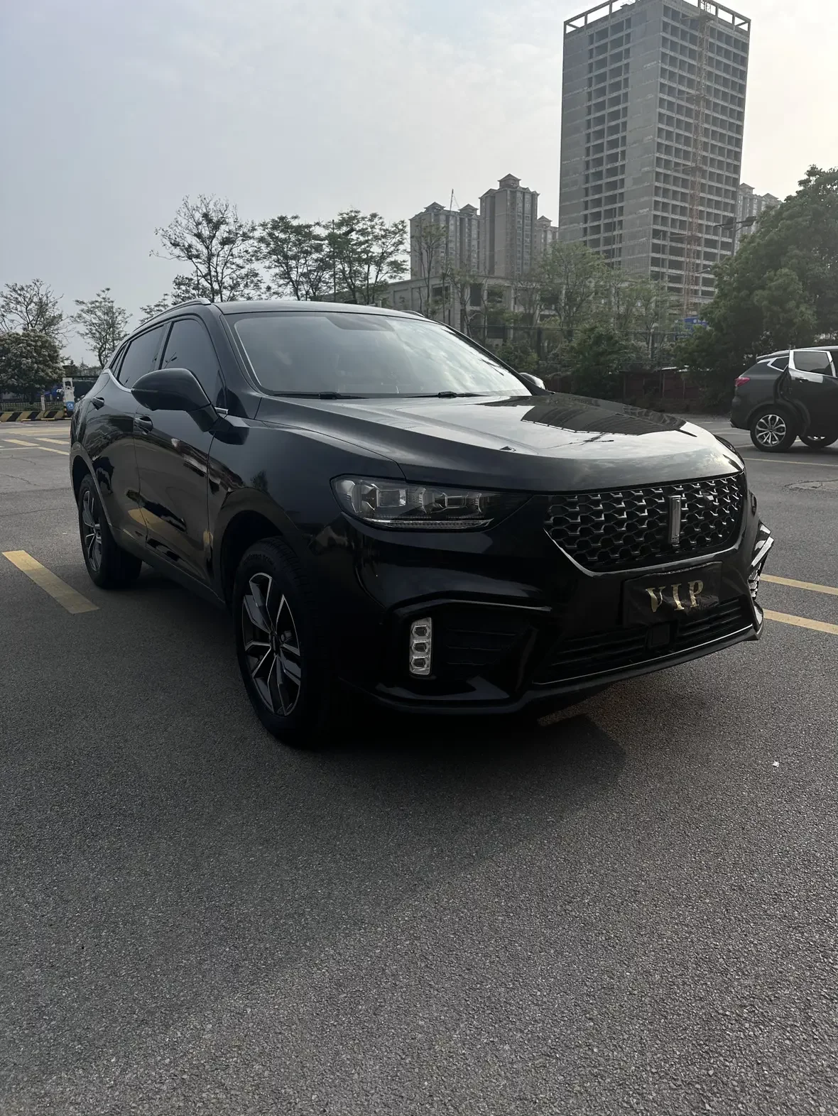 Wey Wei brand VV5