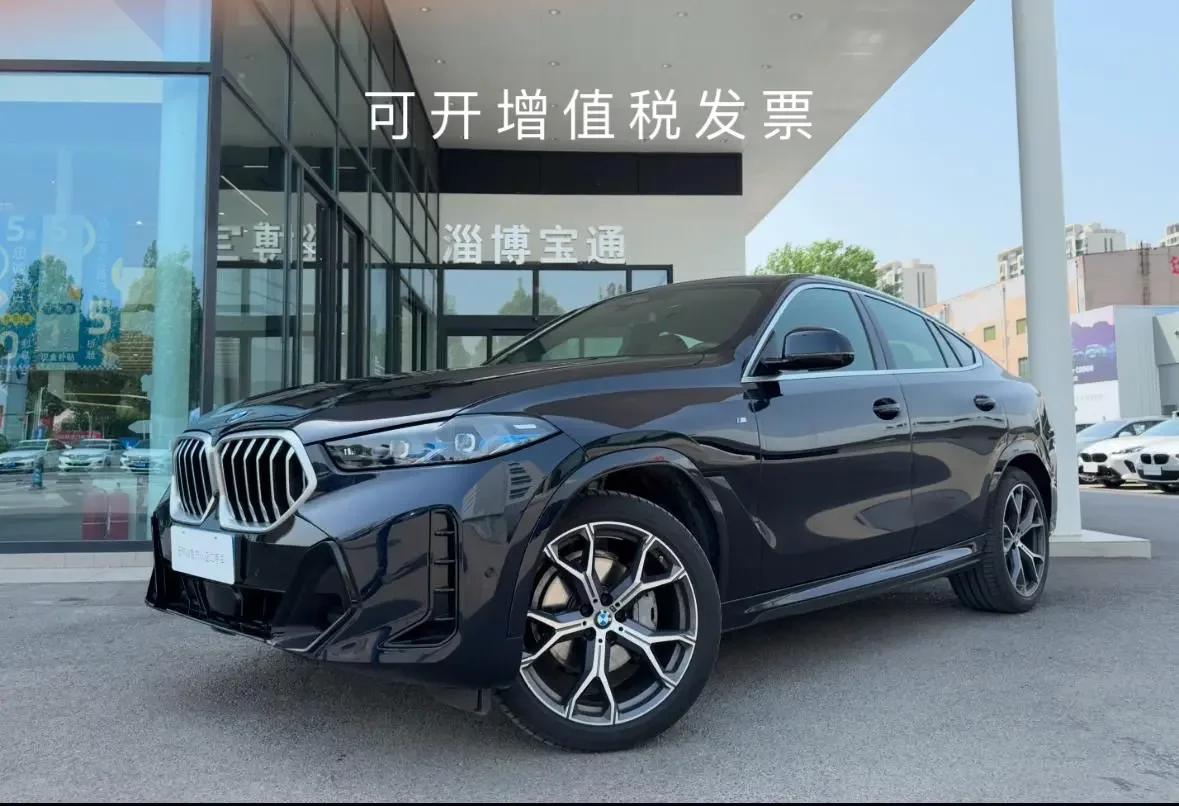 BMW X6