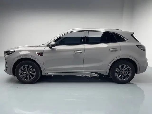 Hongqi HS5