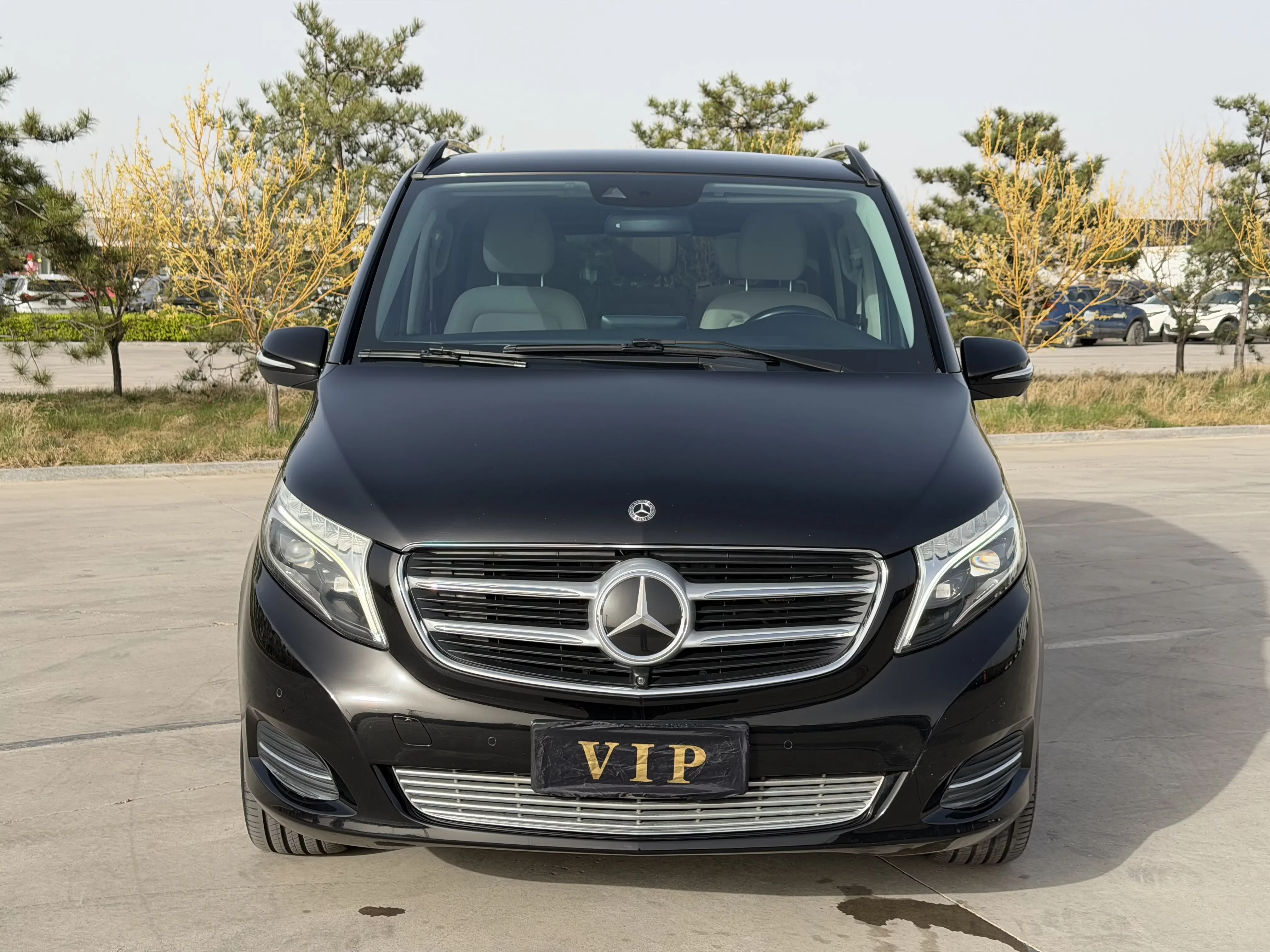 Mercedes-Benz V Class