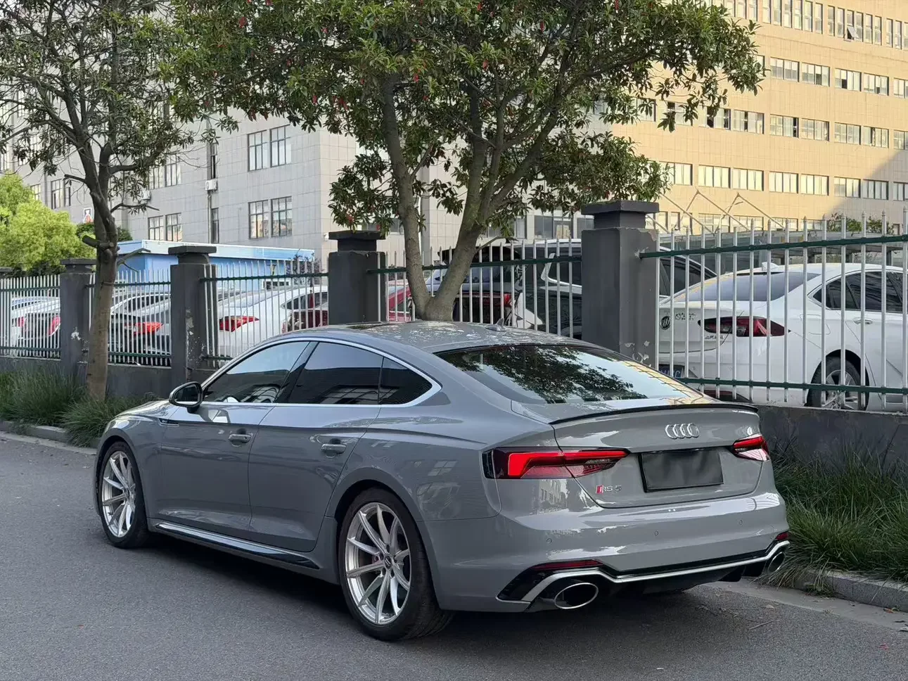 Audi RS 5