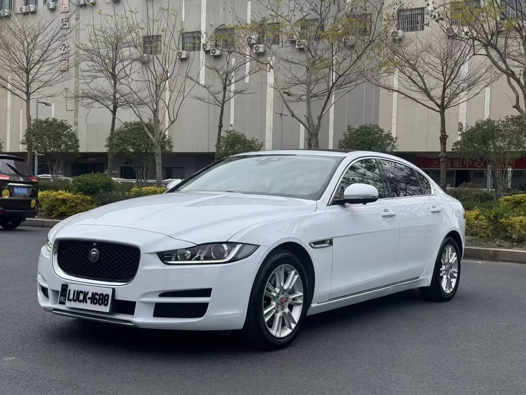 Jaguar XEL