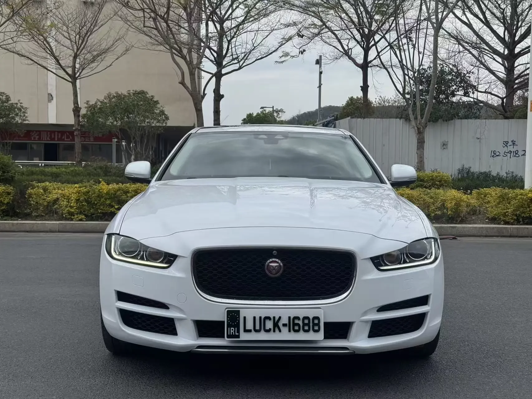 Jaguar XEL