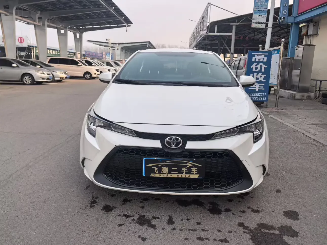 Toyota Levin