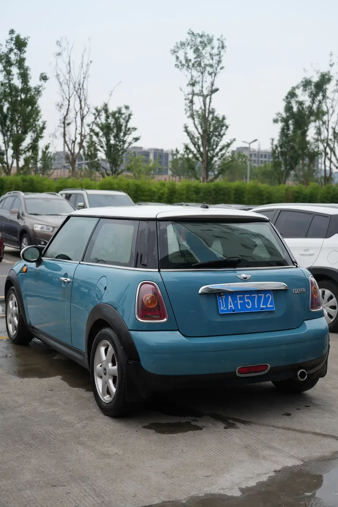 MINI 