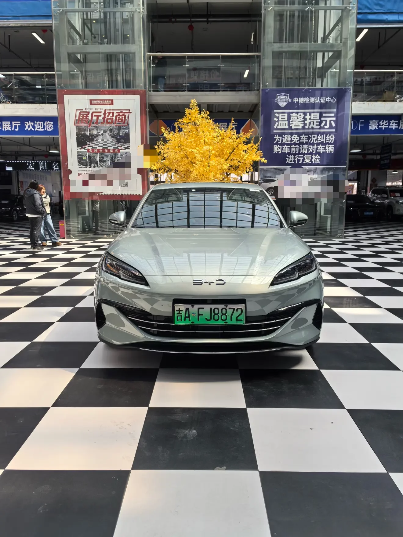 BYD Seal 06DM
