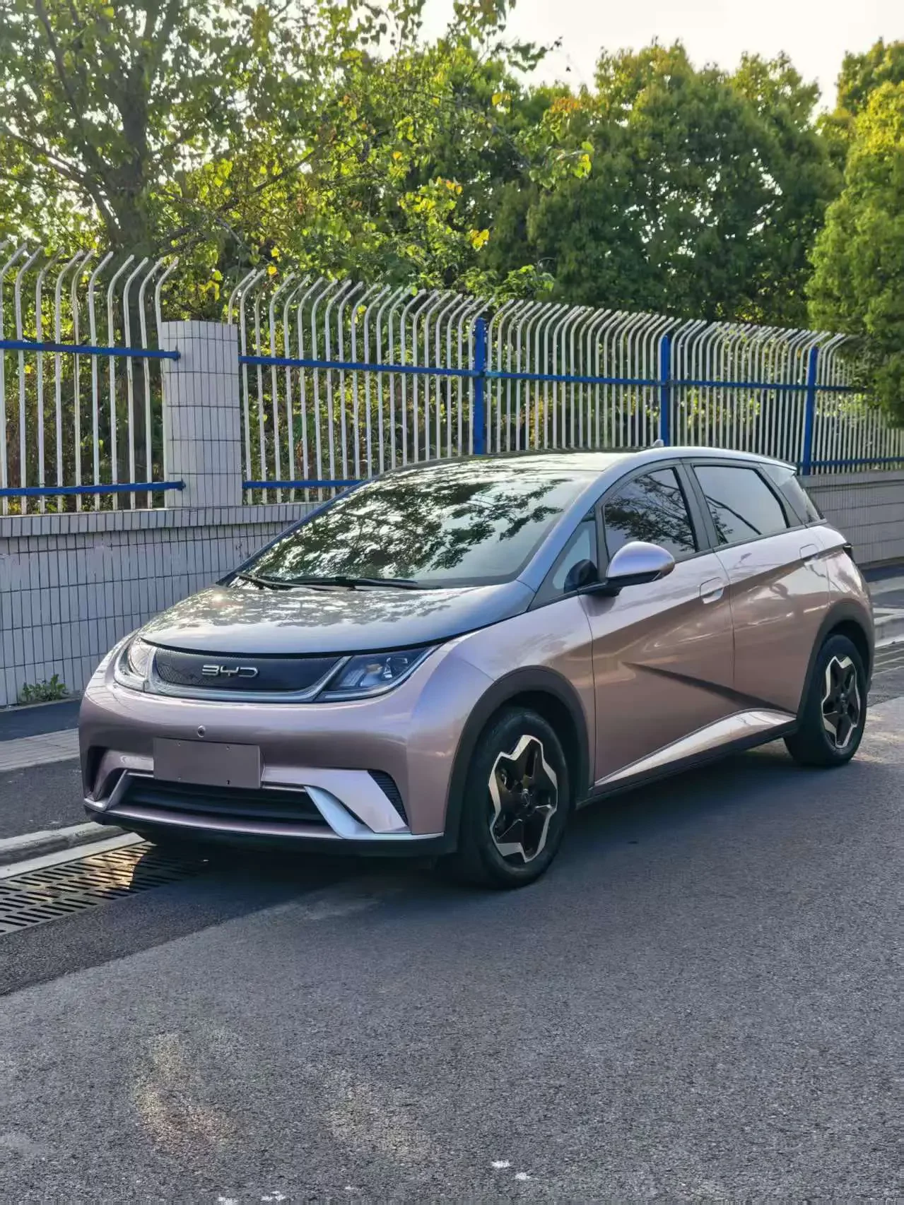 BYD dolphin