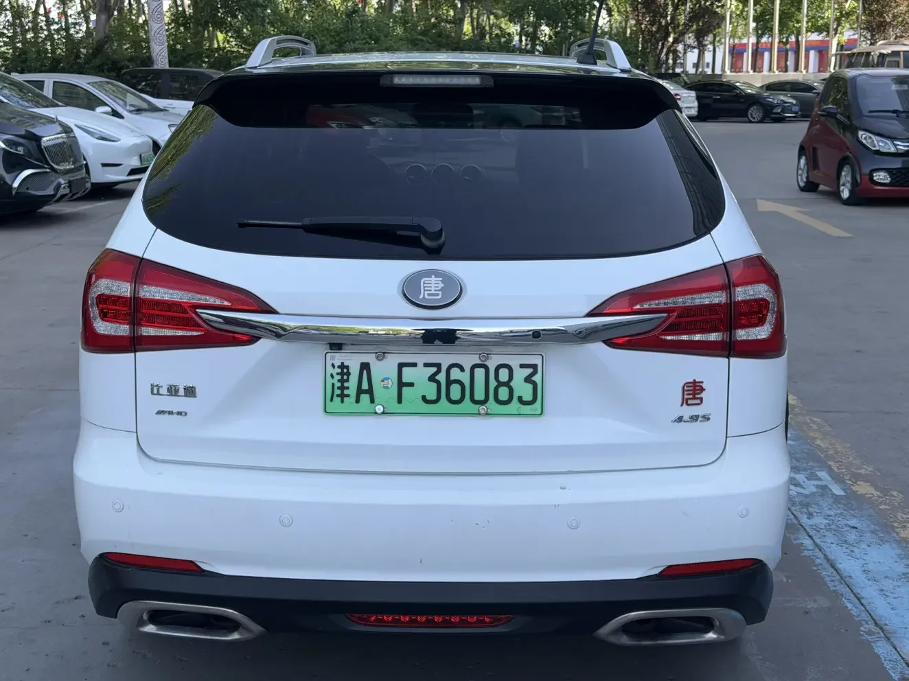 BYD Tang DM