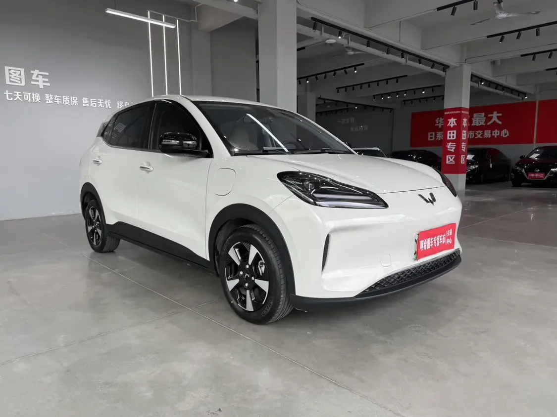 Wuling Bingo PLUS