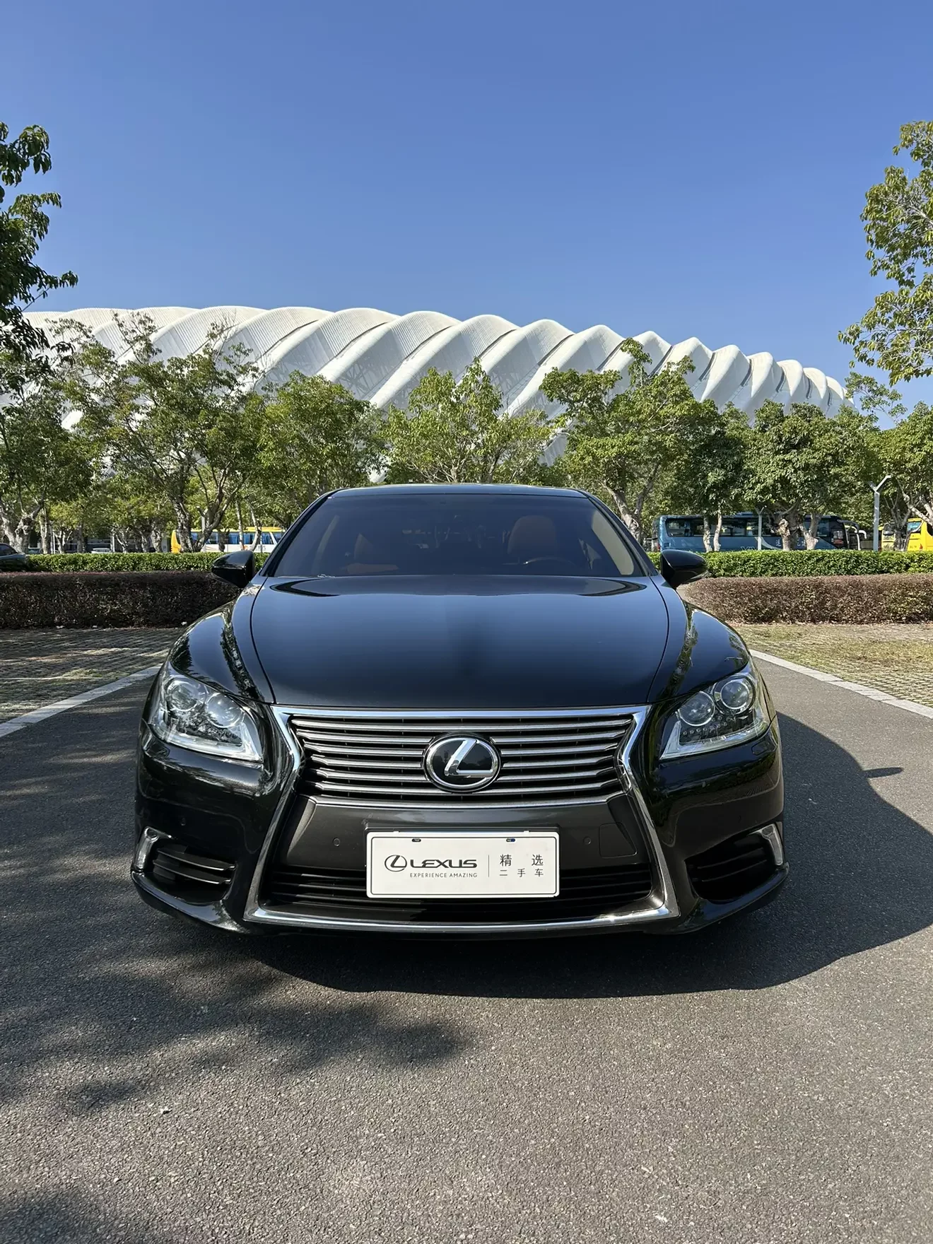 Lexus LS