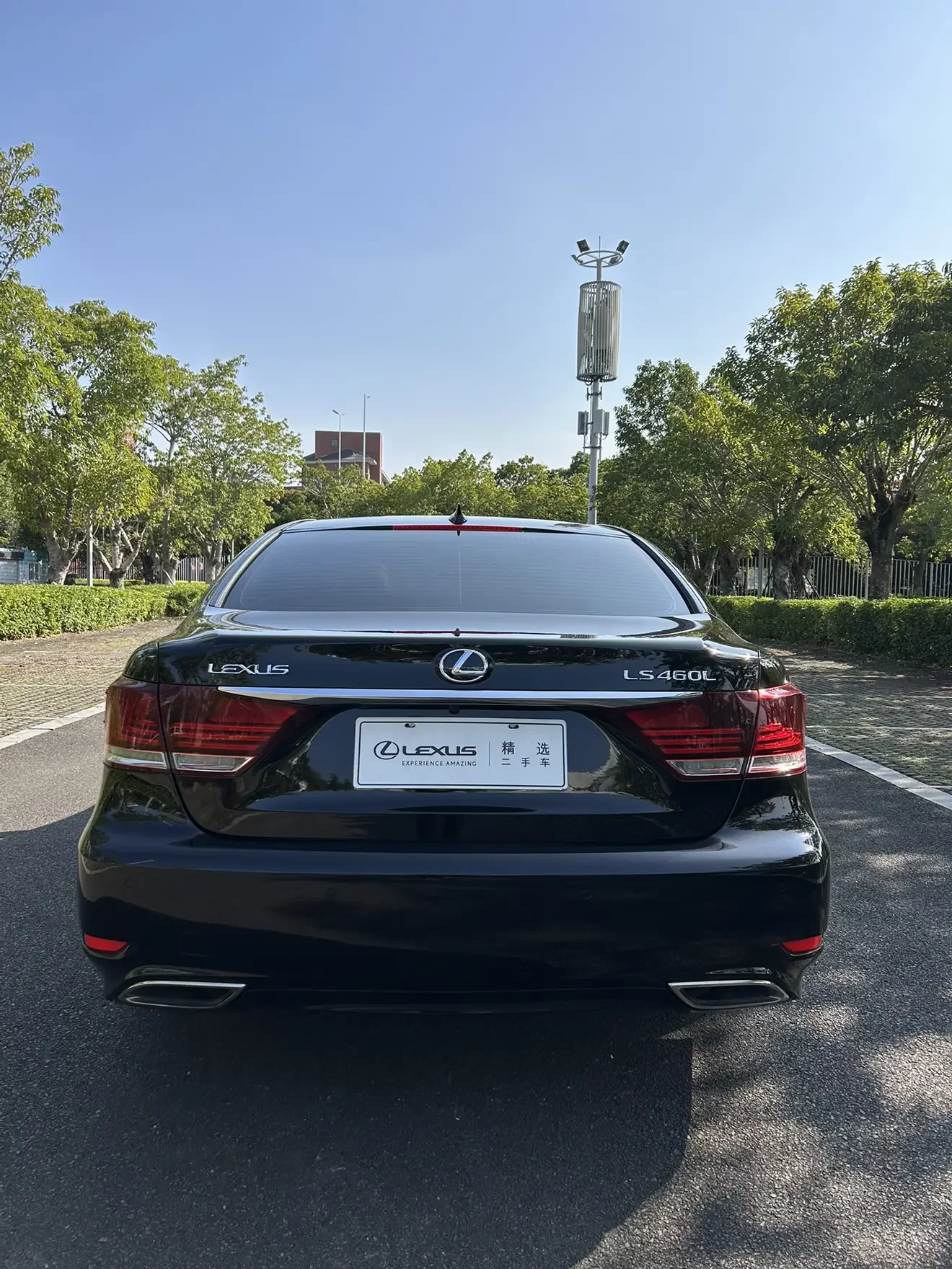 Lexus LS