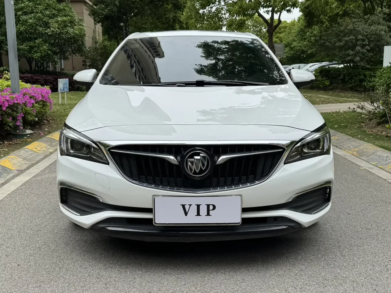 Buick Valeant
