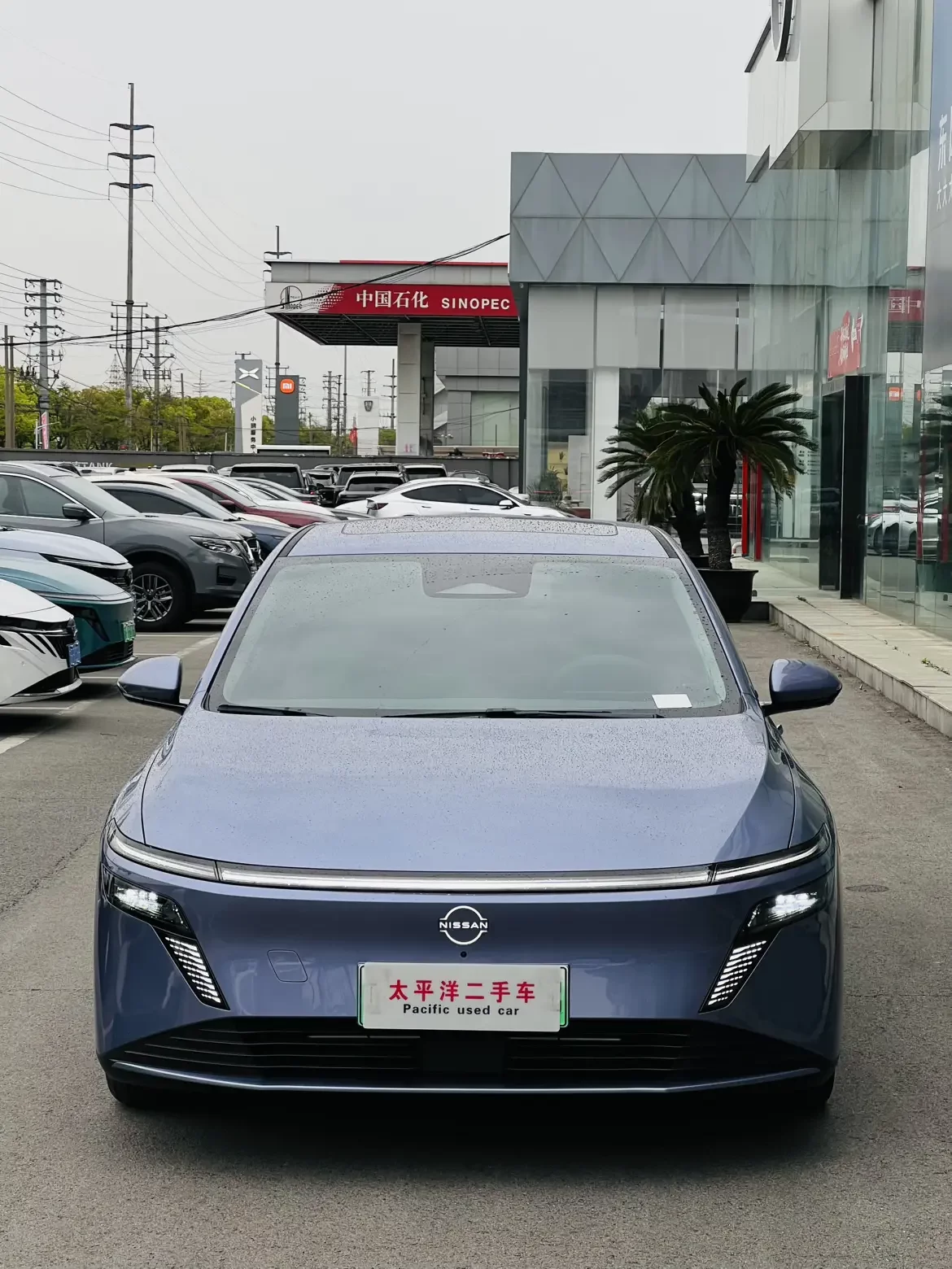 Nissan N6