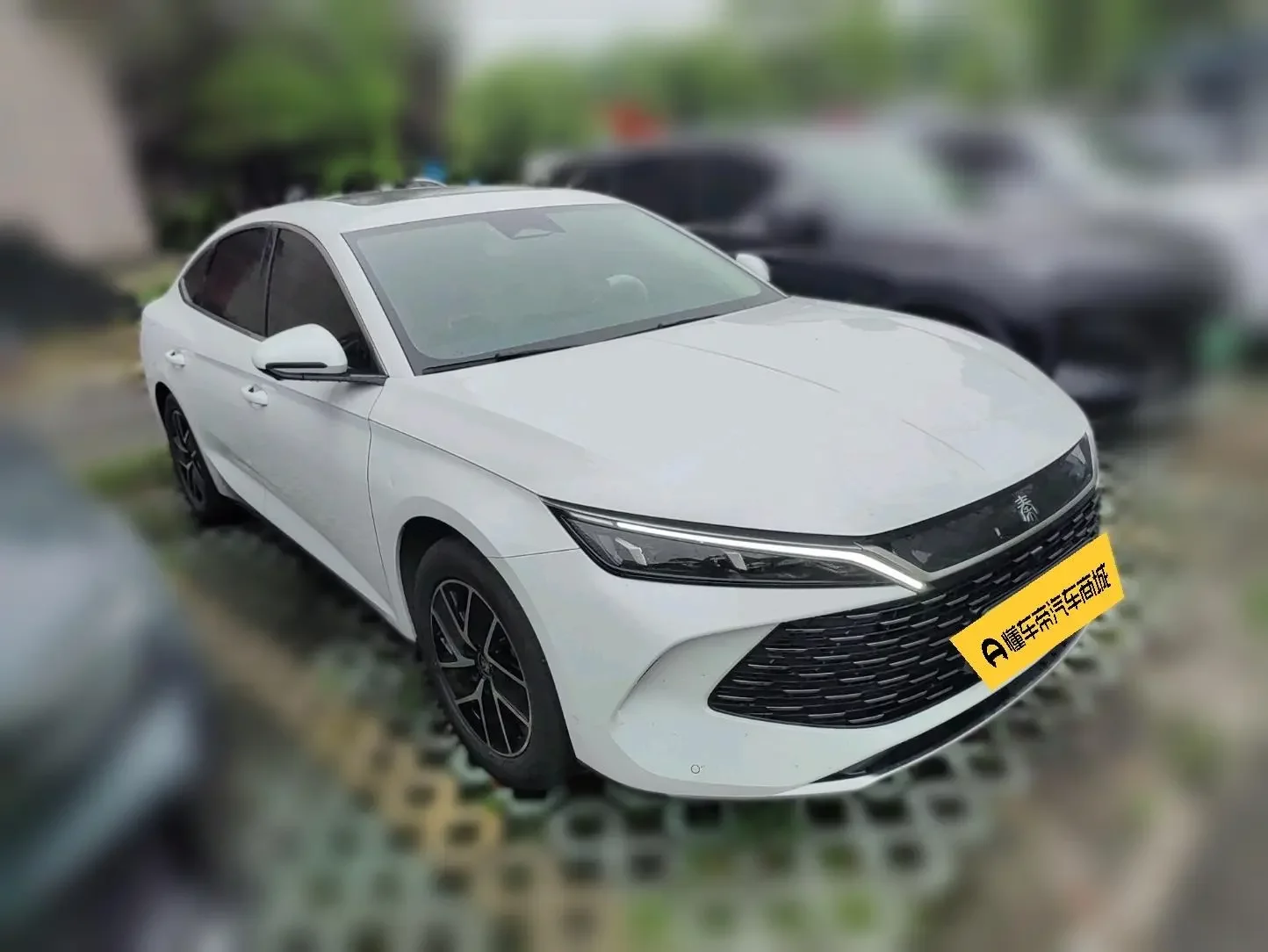 BYD Qin L DM