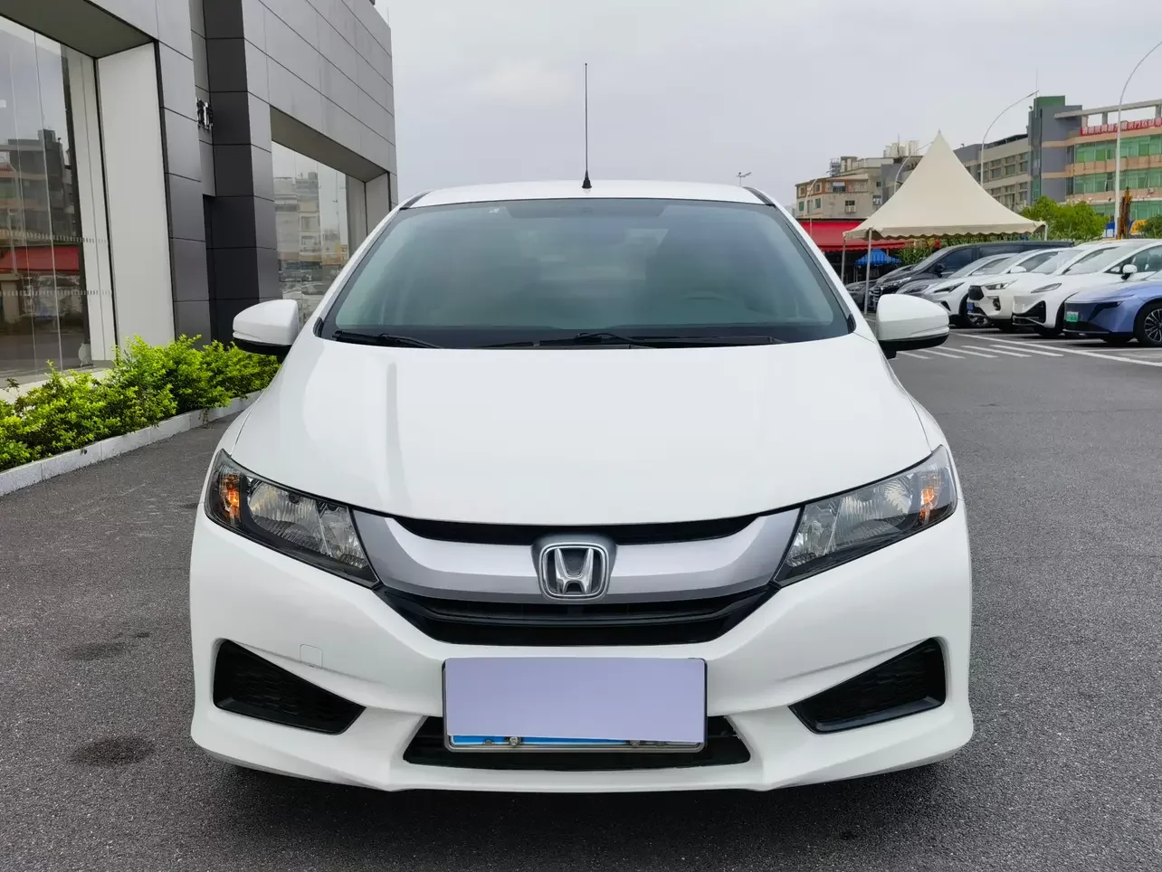 Honda Feng Fan