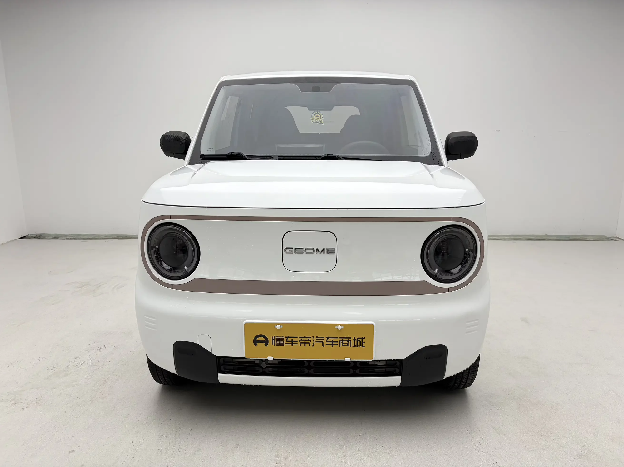 Geely panda