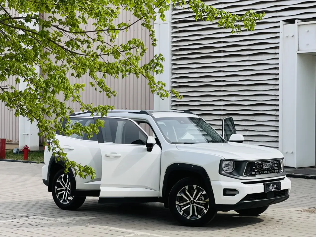 Haval H-Dog