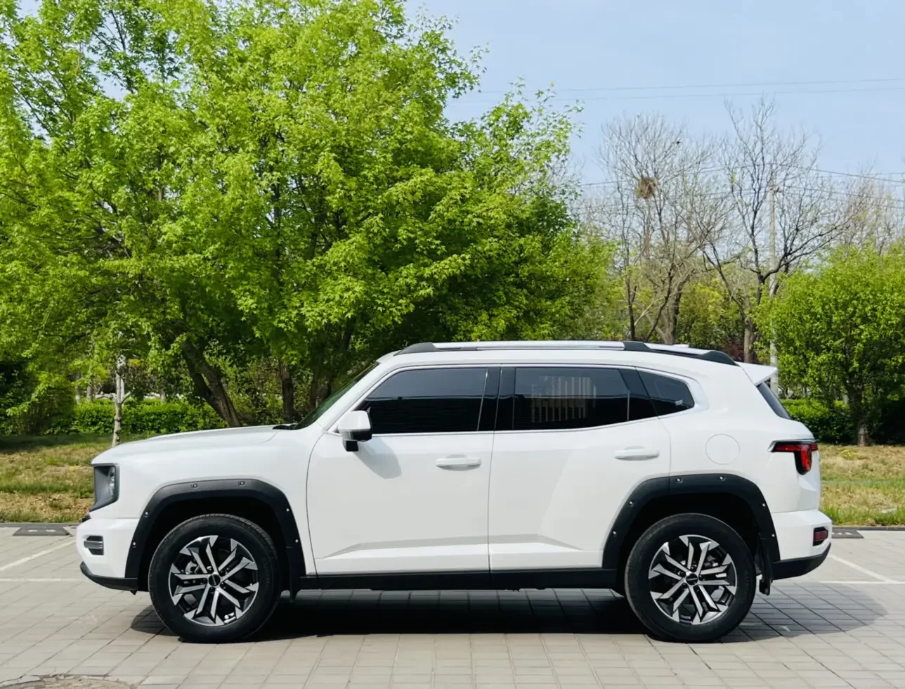 Haval H-Dog