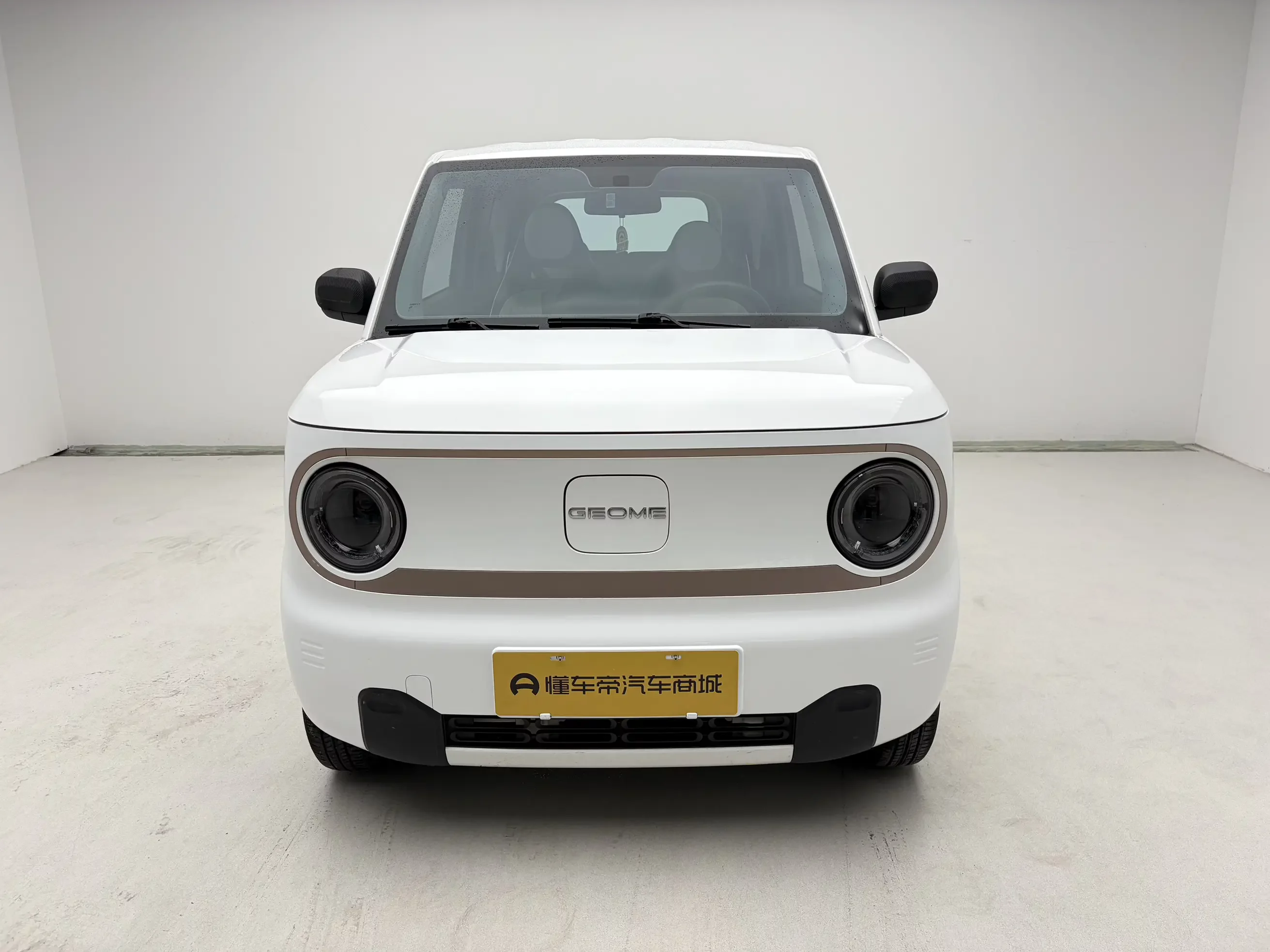 Geely panda