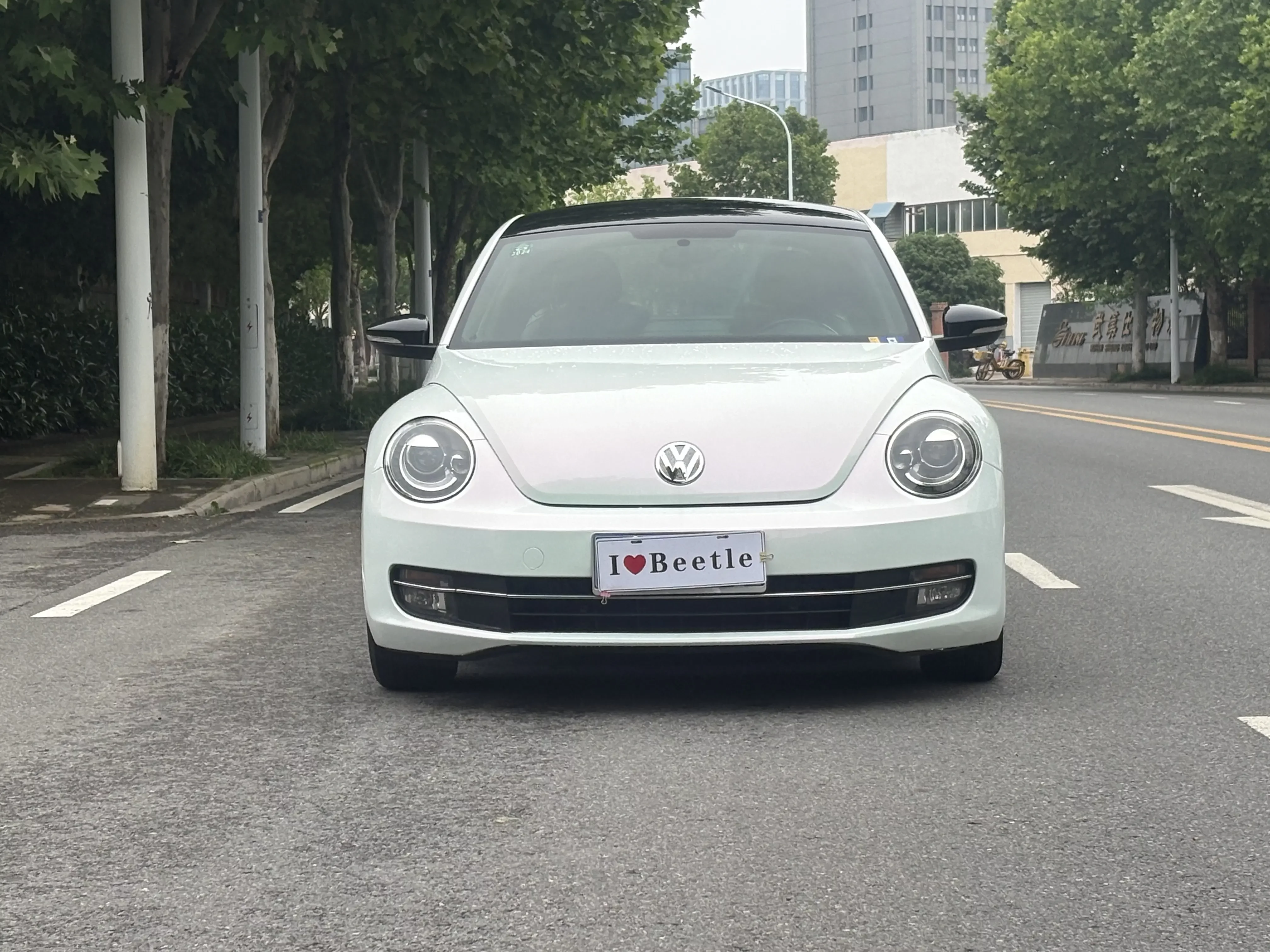 Volkswagen Beetle