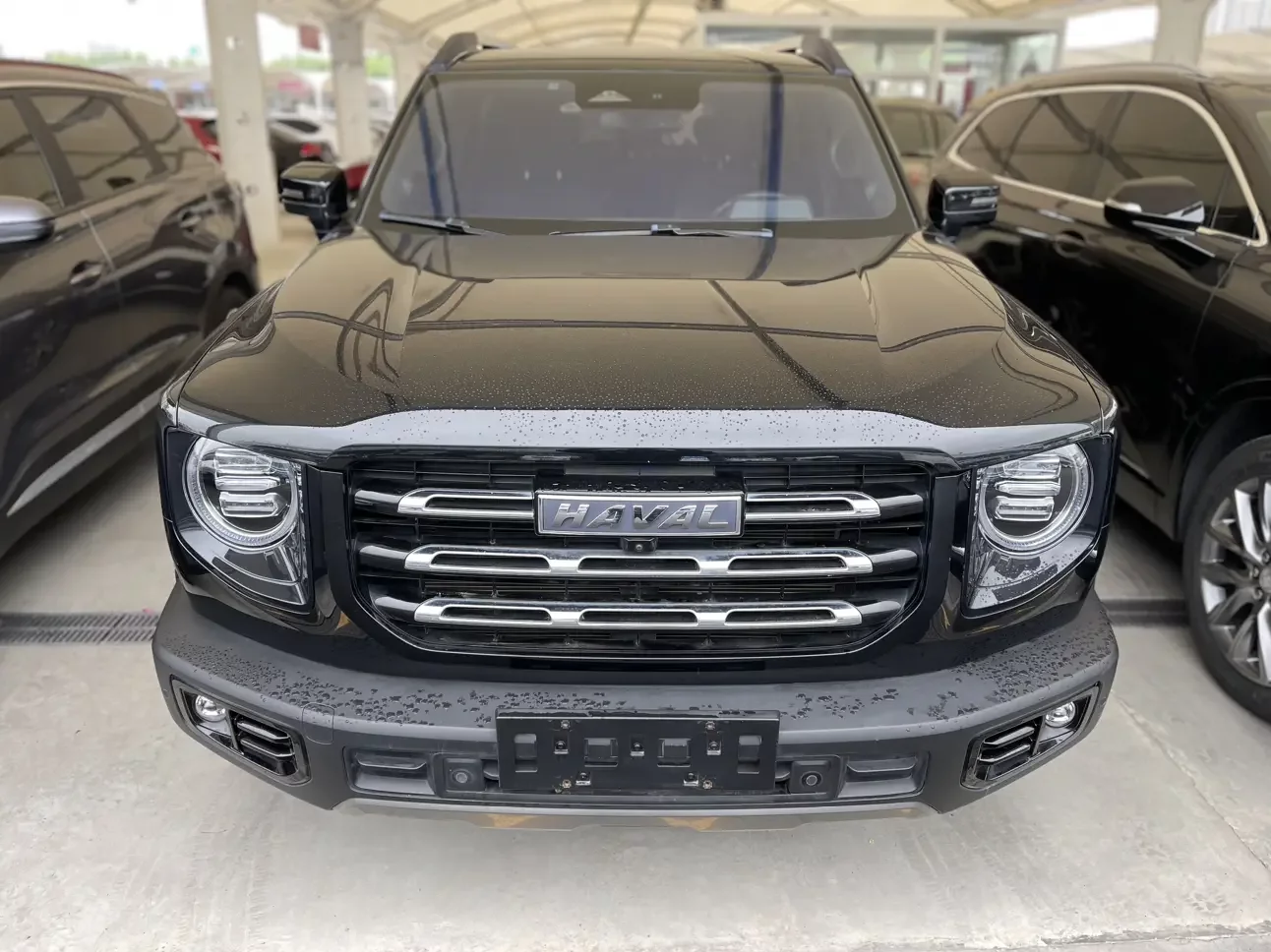 Haval Dargo