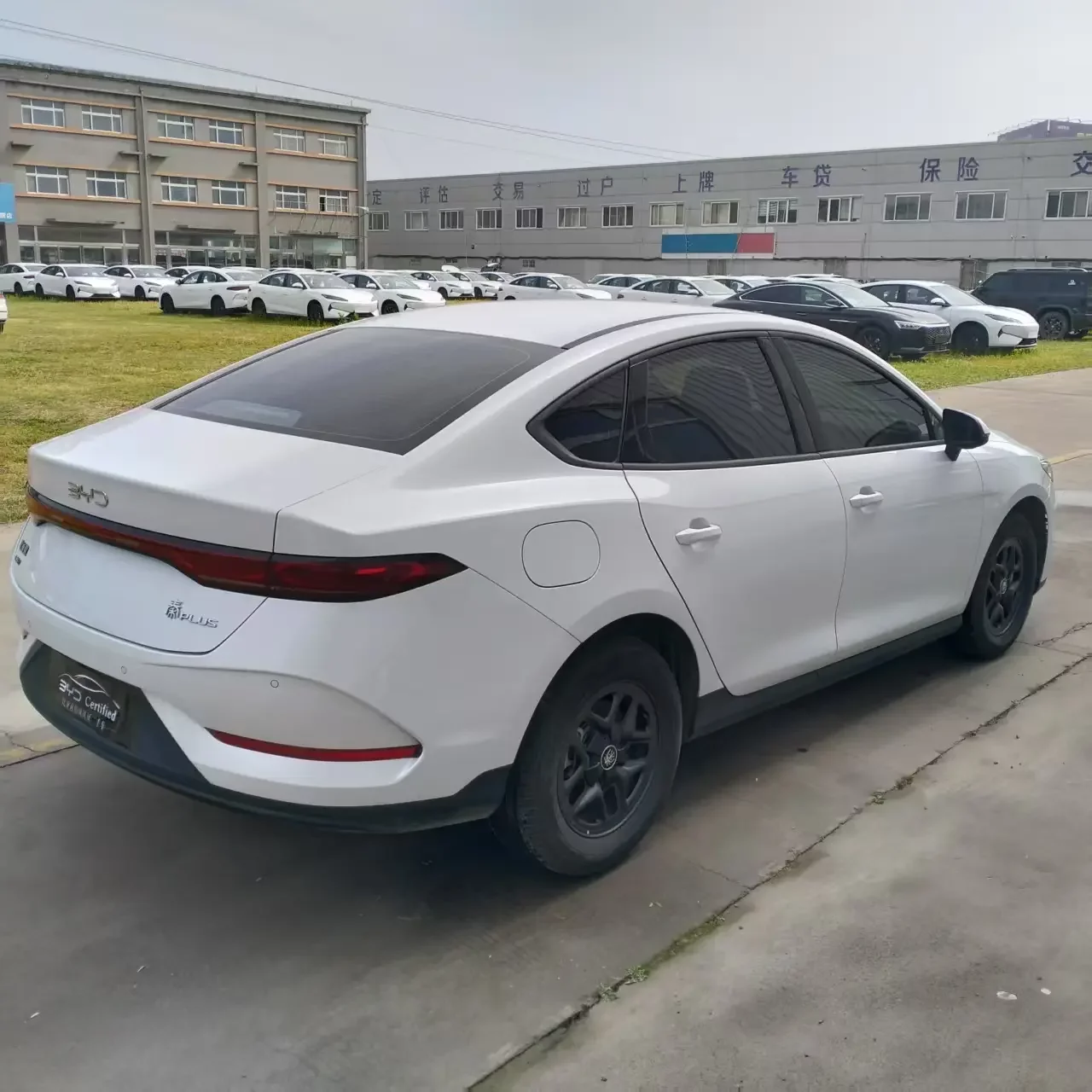 BYD Qin PLUS DM