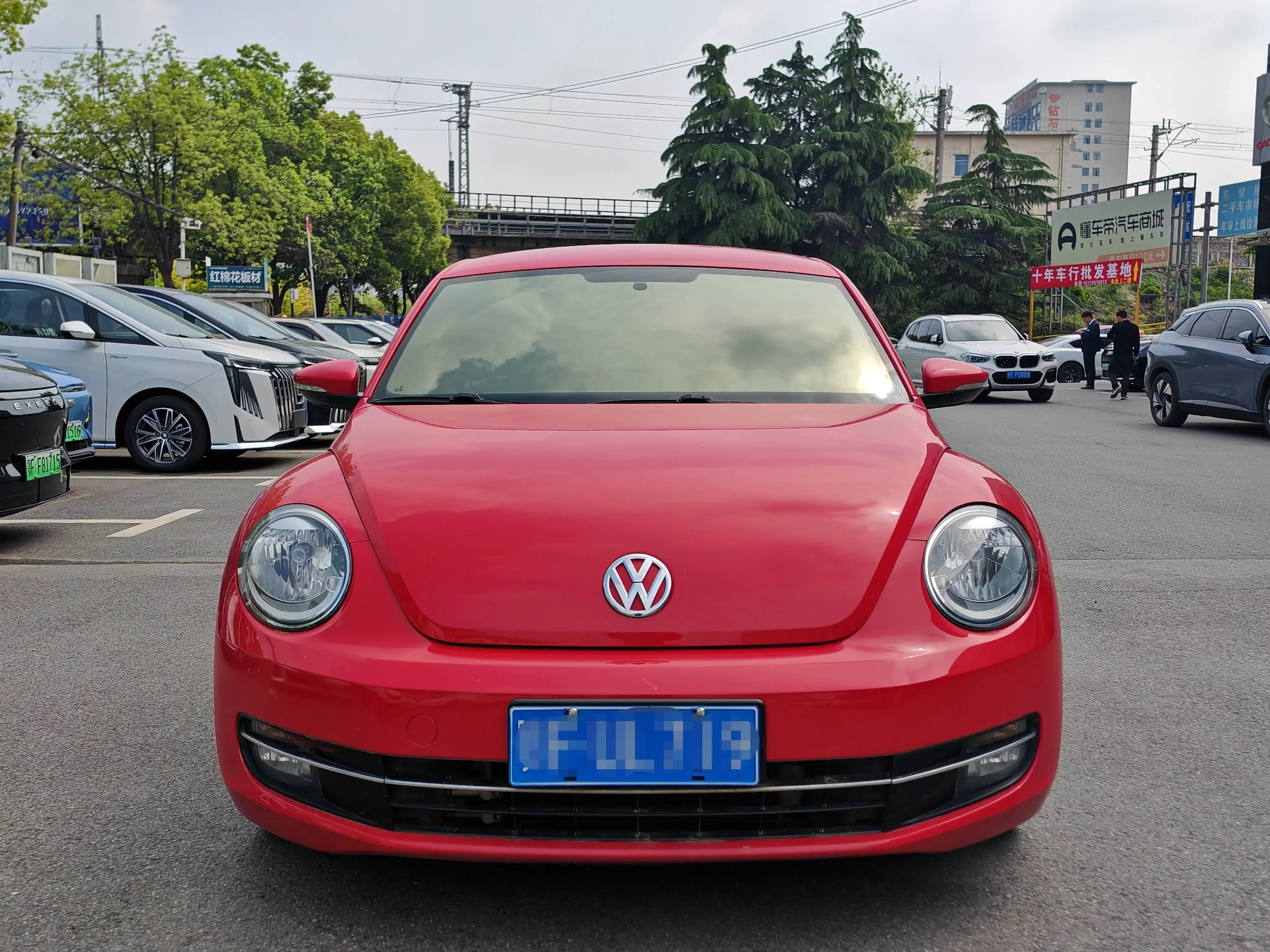 Volkswagen Beetle