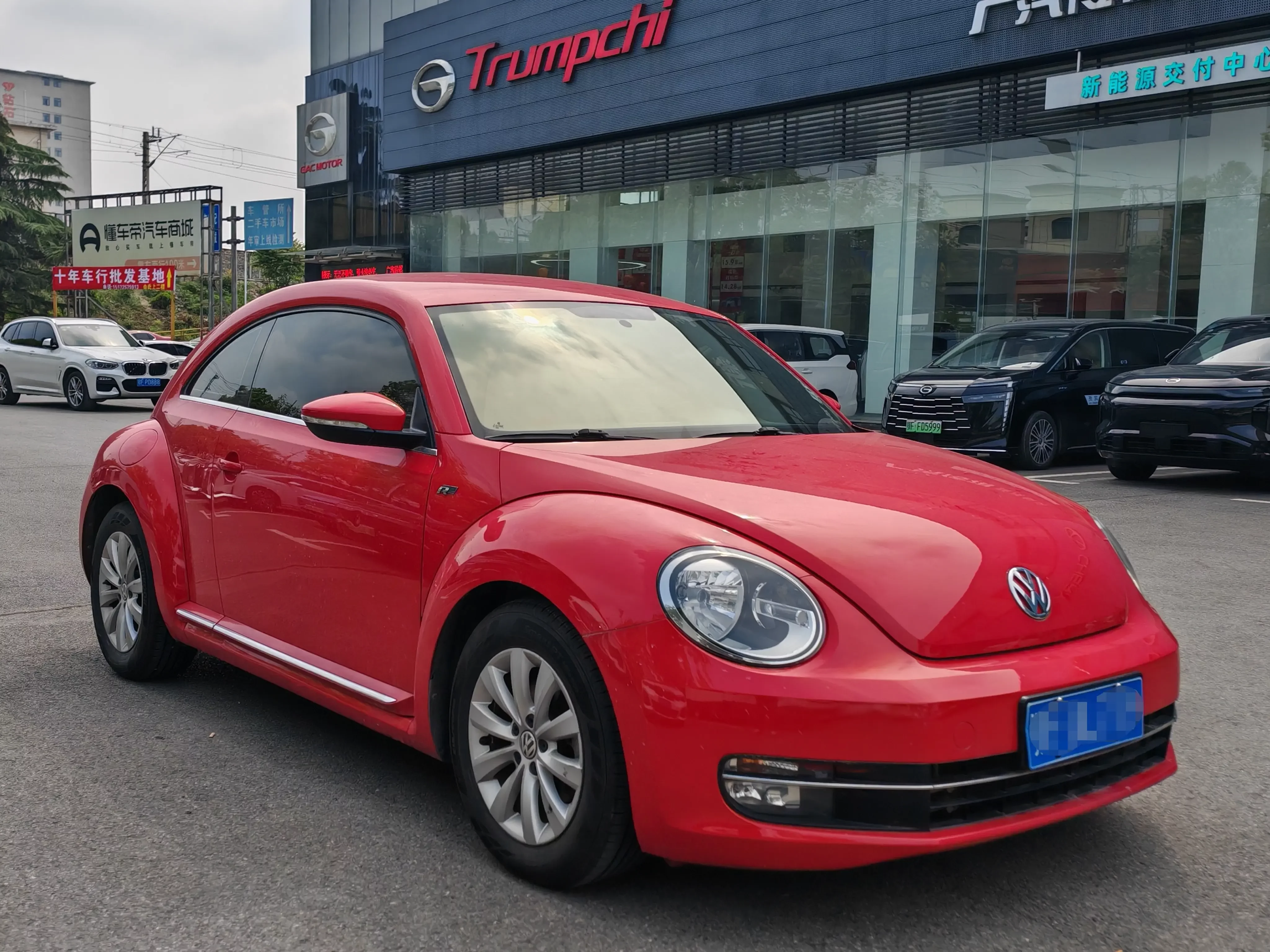 Volkswagen Beetle