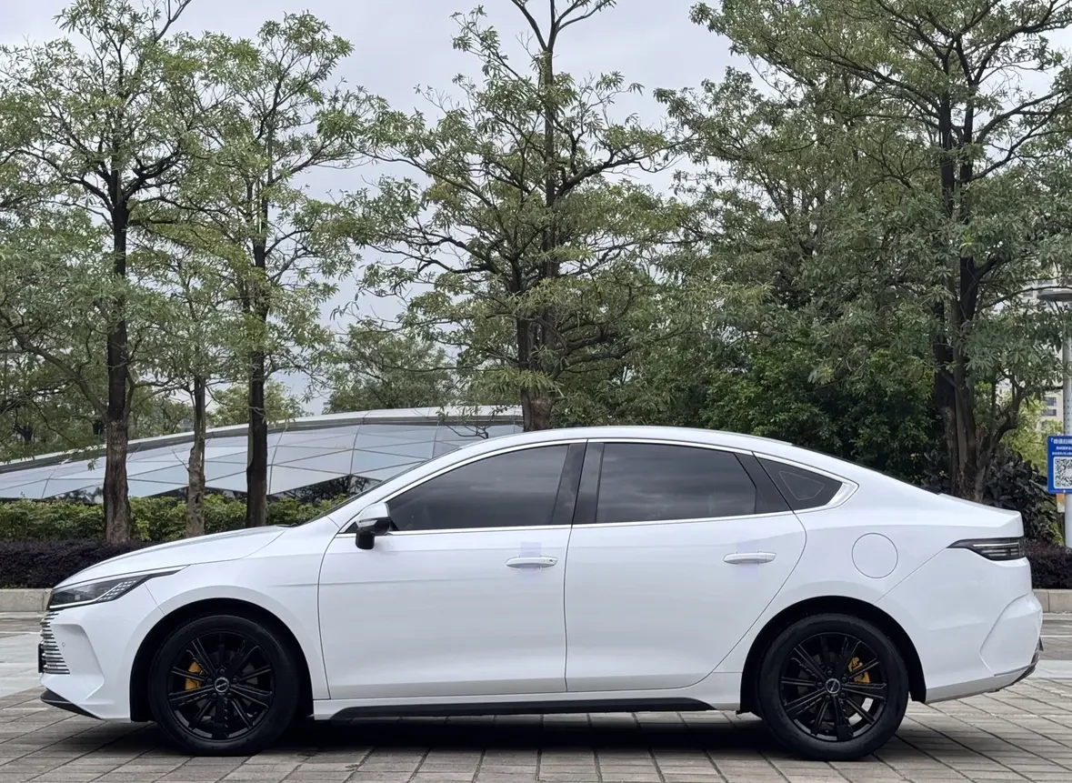 BYD Destroyer 05