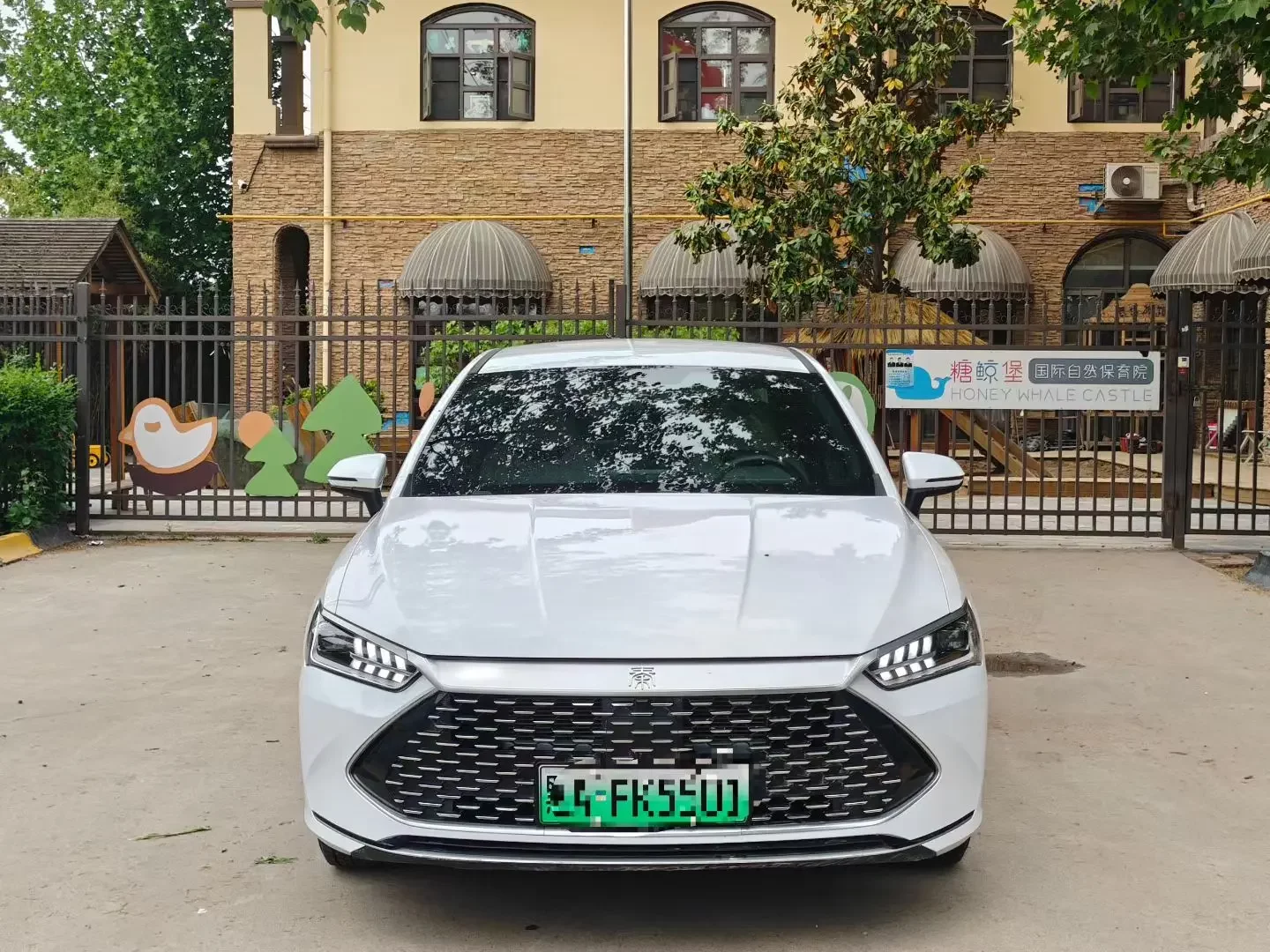 BYD Qin PLUS DM