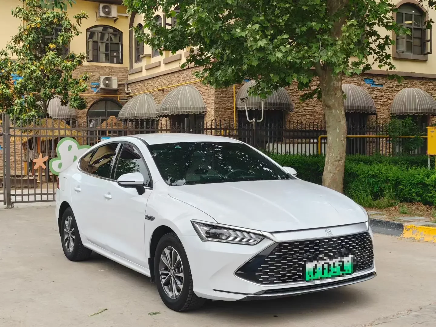 BYD Qin PLUS DM