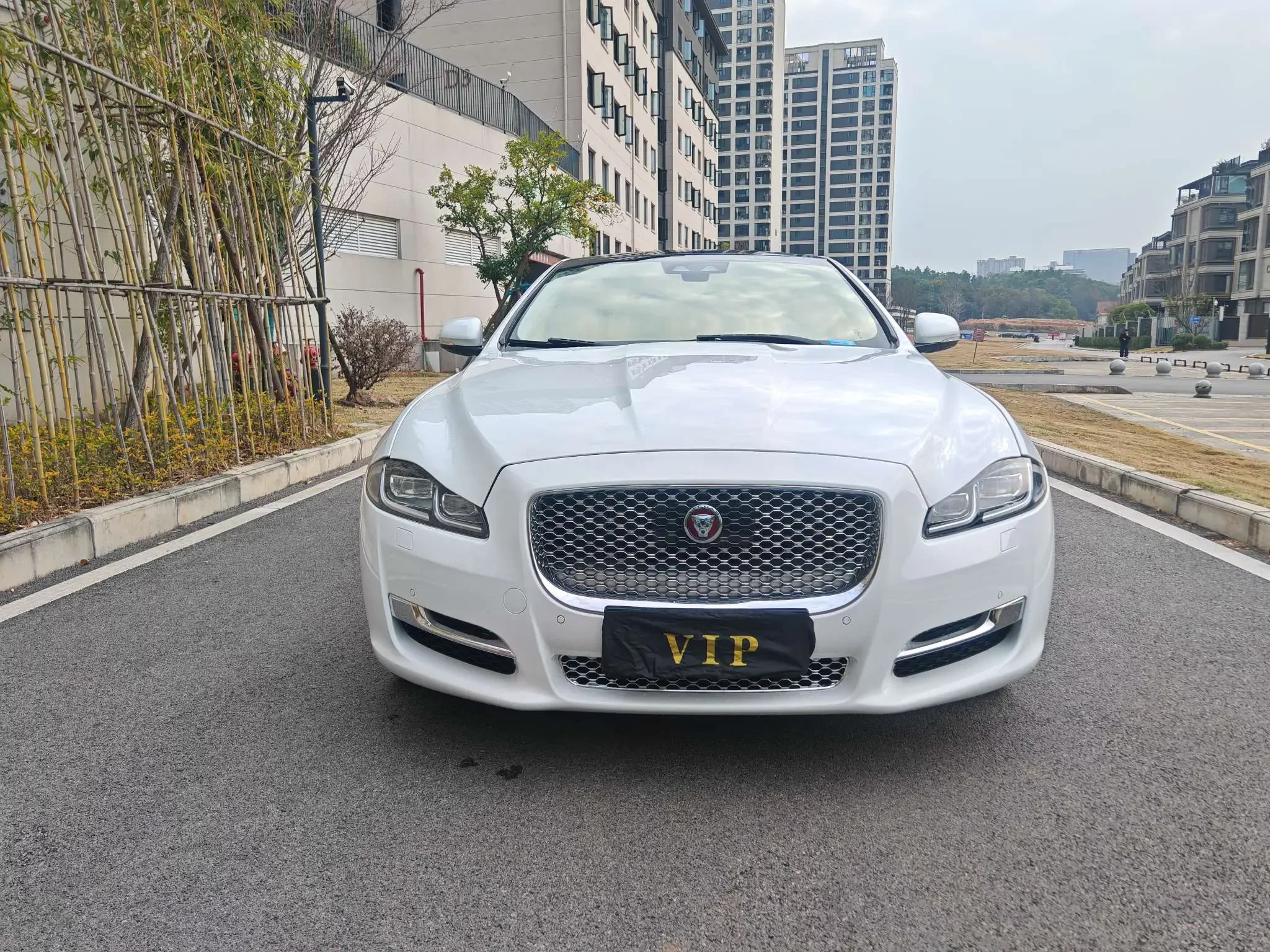 Jaguar XJ