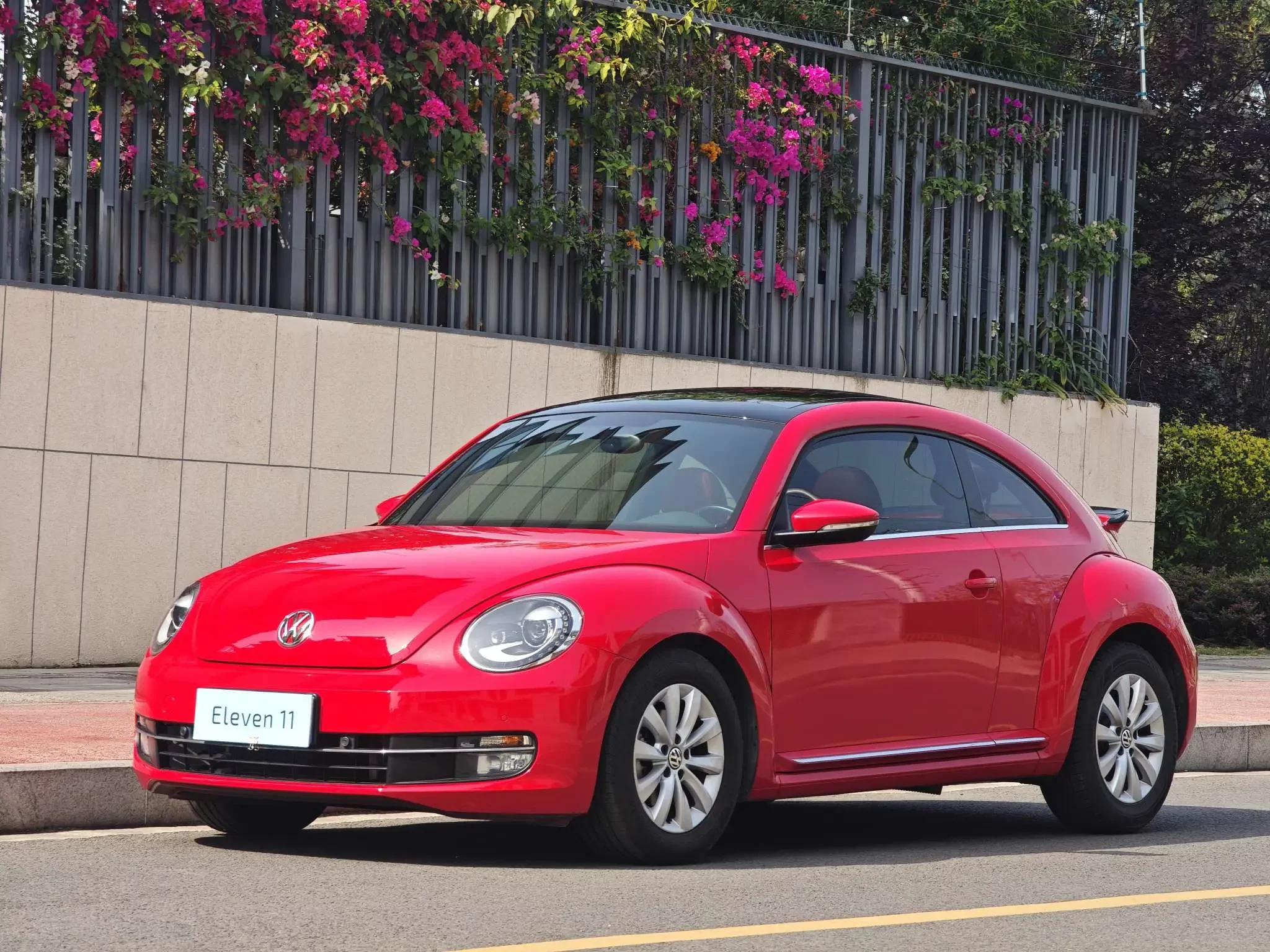 Volkswagen Beetle