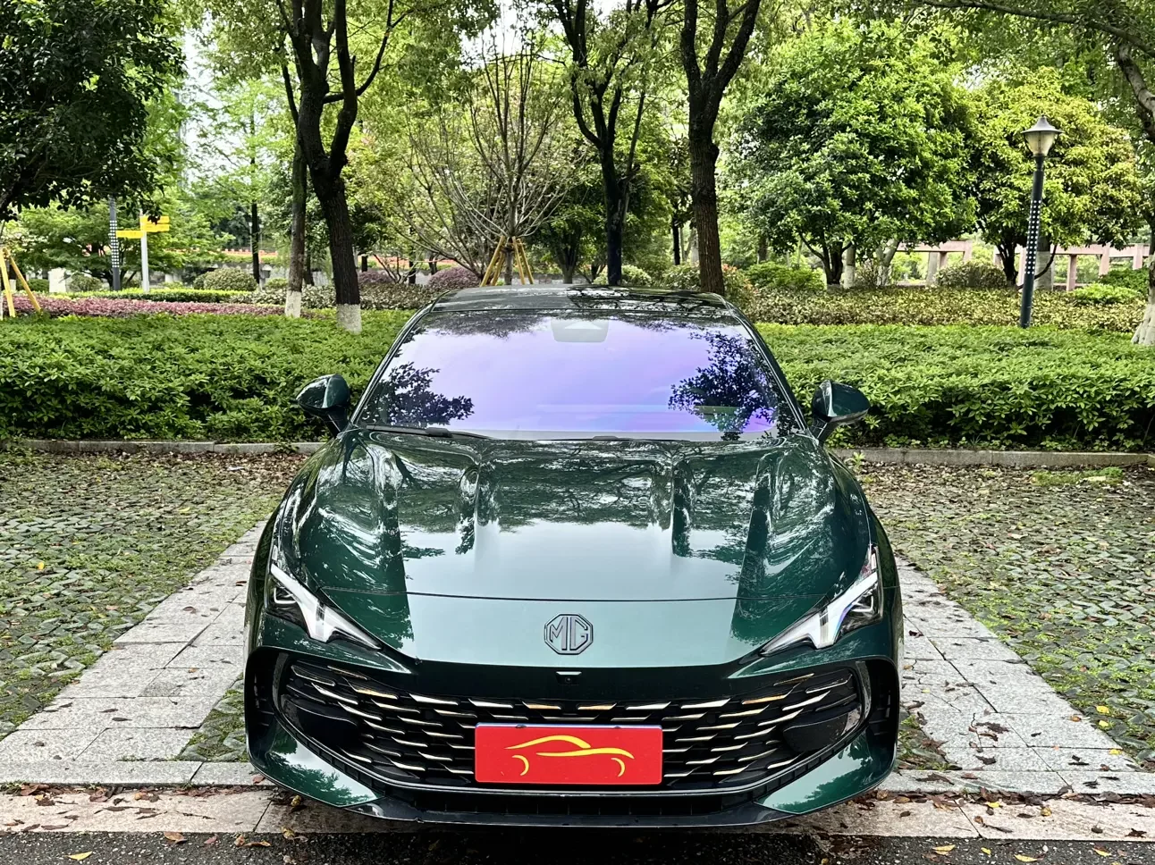 MG 7