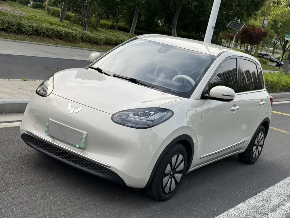Wuling Bingo