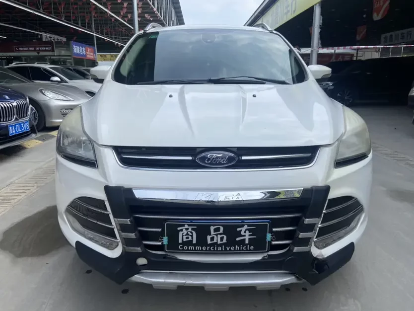 Ford wing tiger
