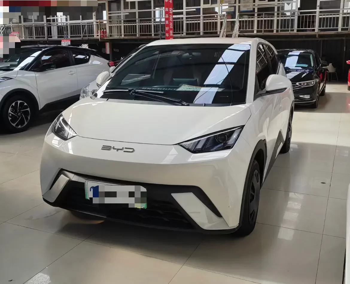 BYD seagull