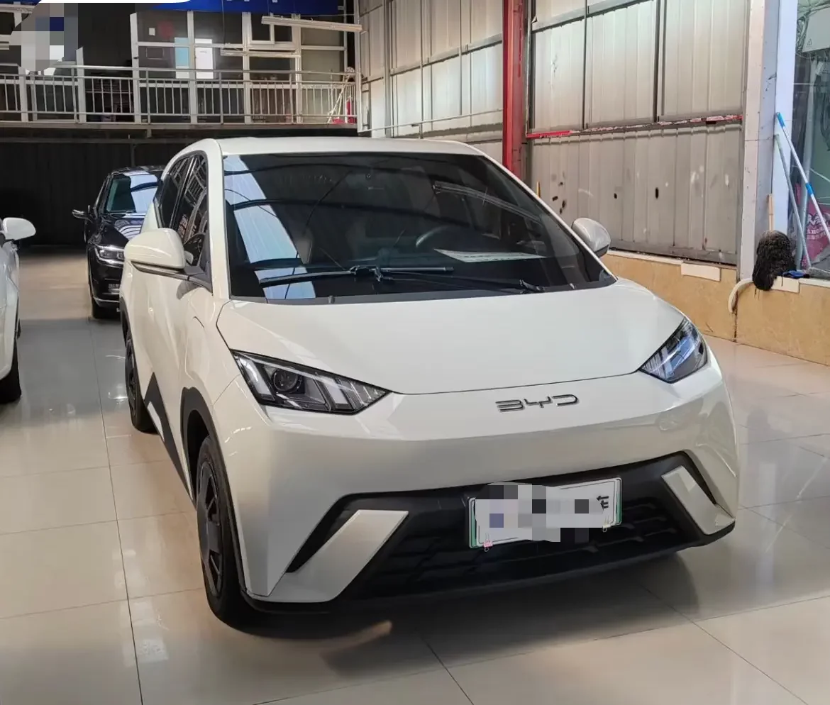 BYD seagull