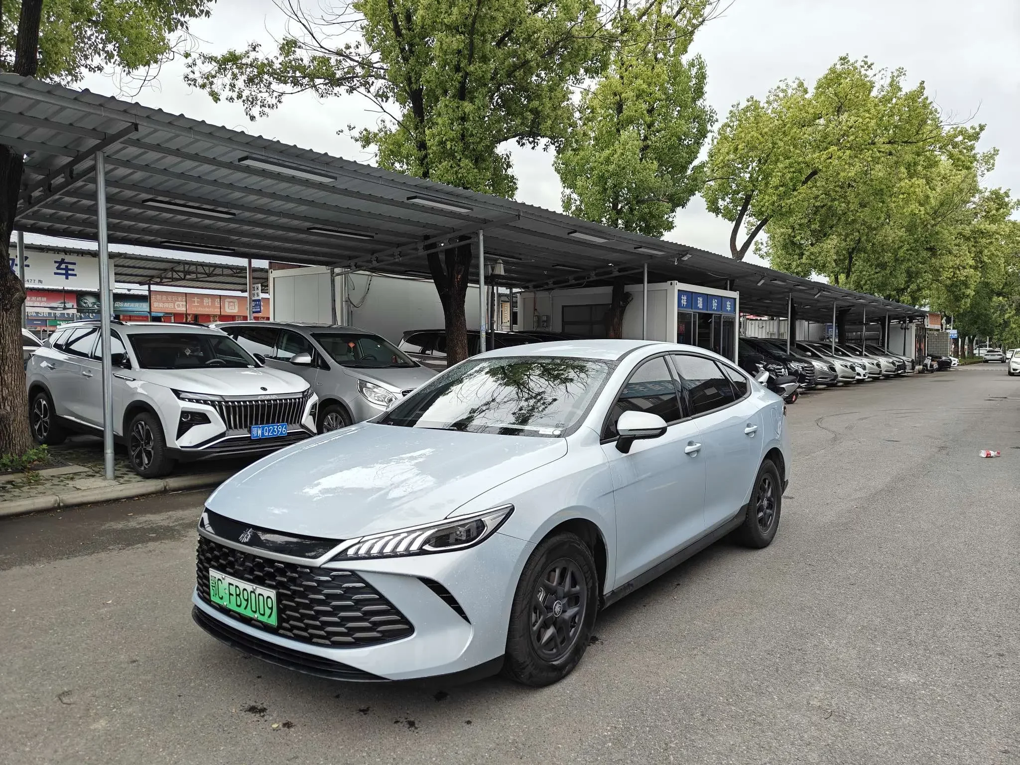 BYD Qin PLUS DM