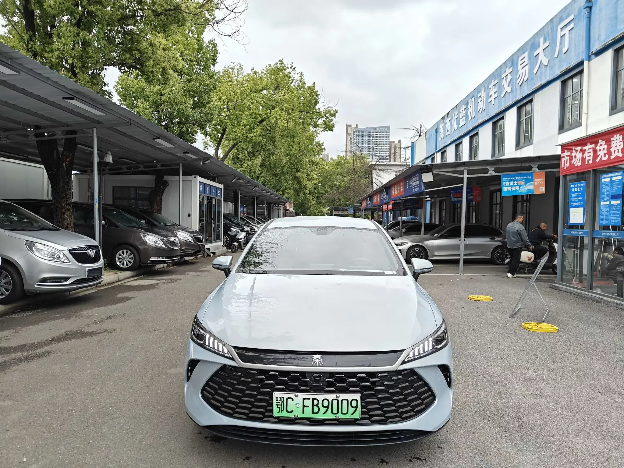 BYD Qin PLUS DM