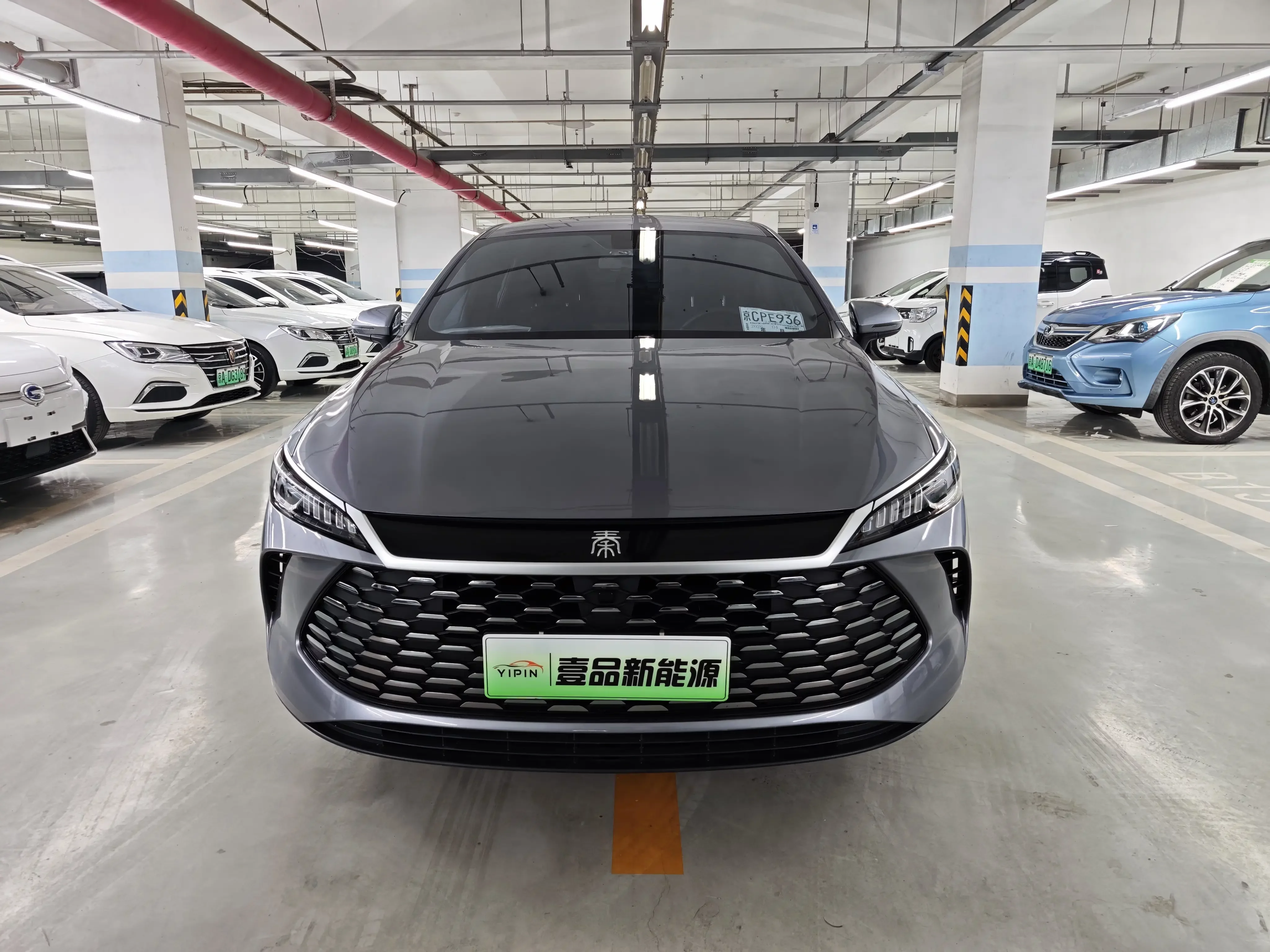 BYD Qin PLUS DM