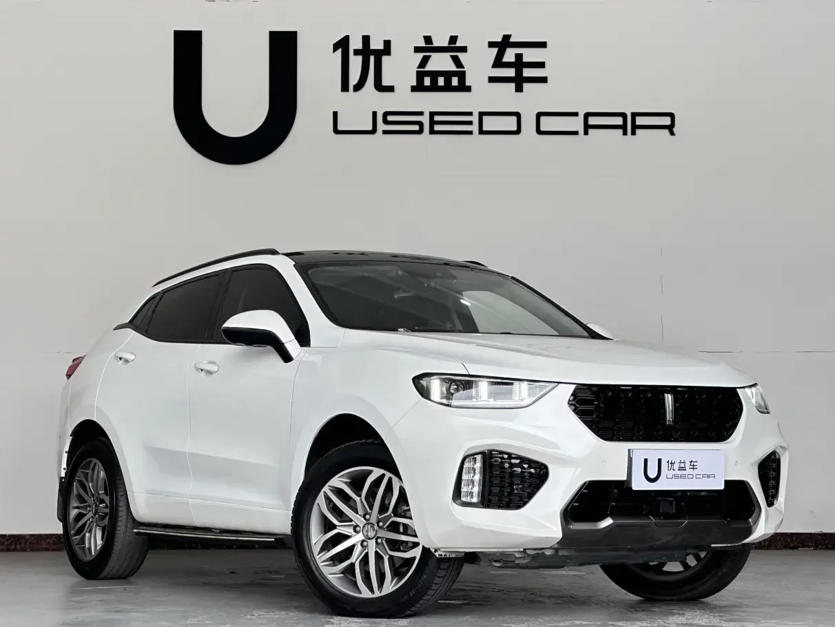 Wey Wei brand VV5