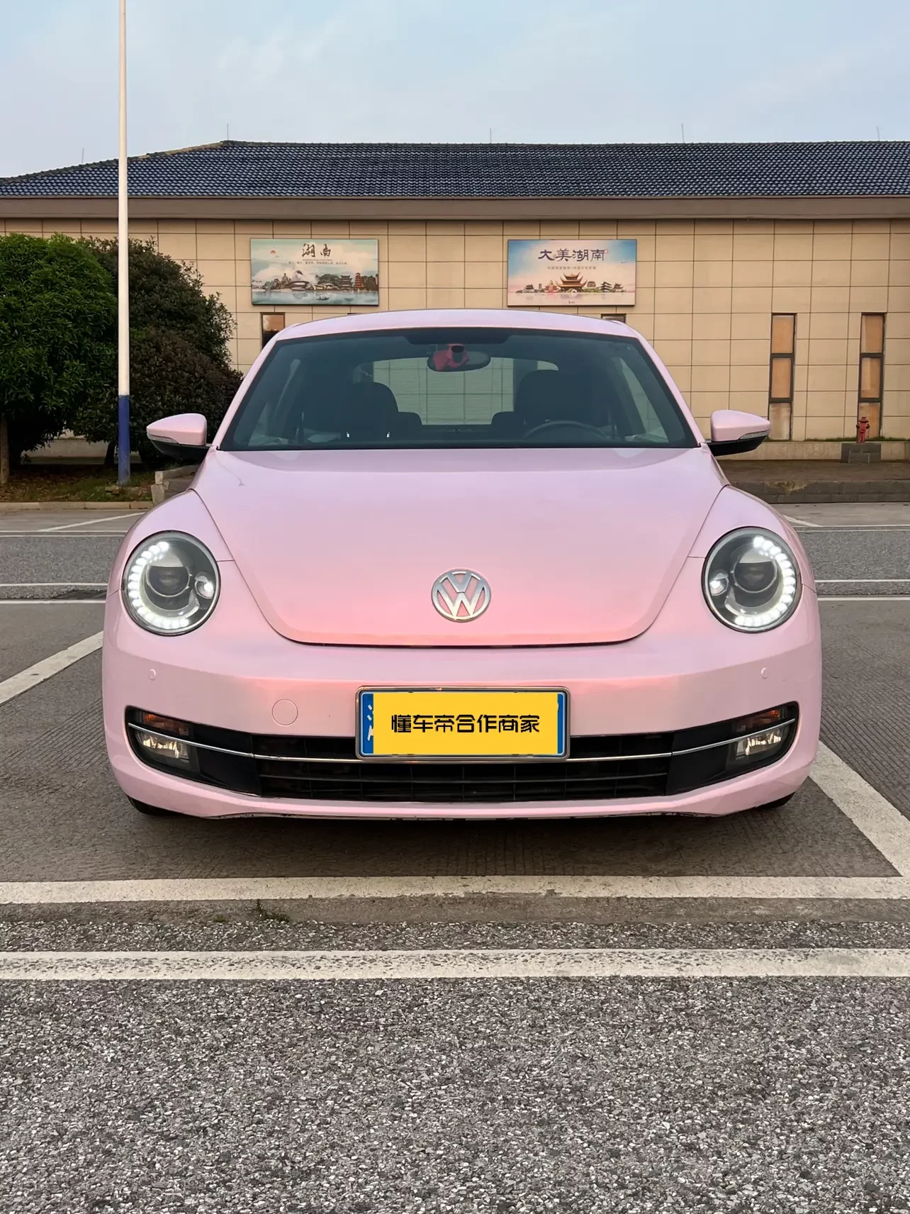Volkswagen Beetle
