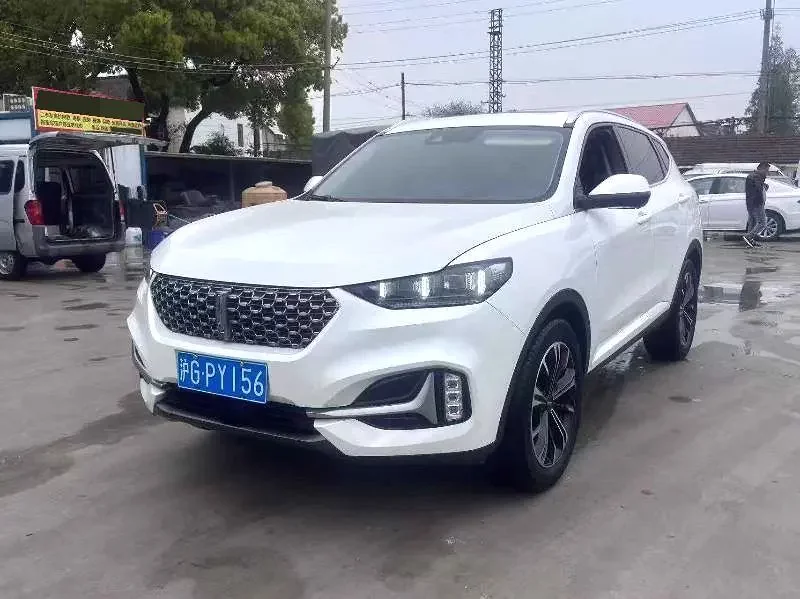 Wey Wei brand VV6