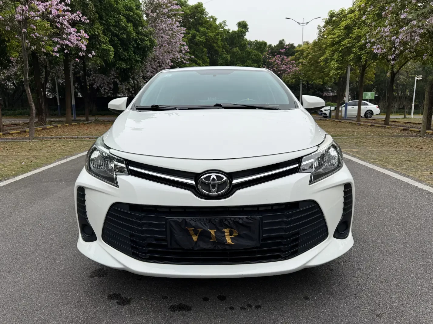 Toyota Vios
