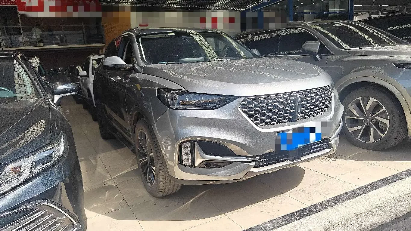 Wey Wei brand VV6