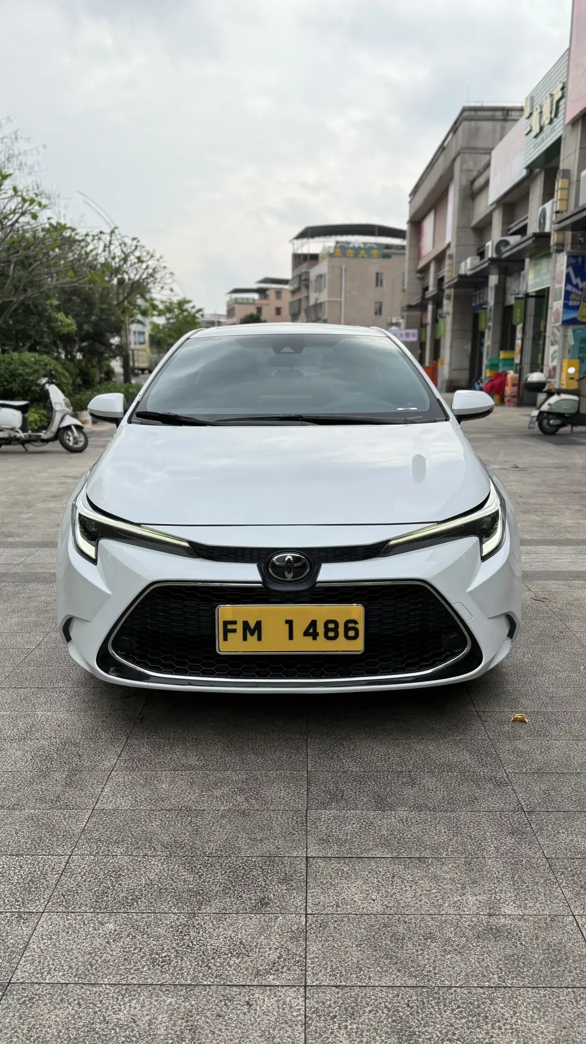 Toyota Levin
