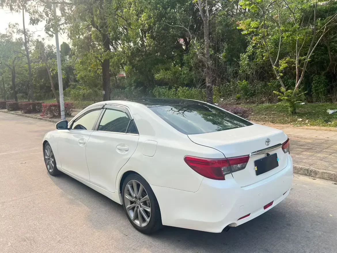Toyota Ruizhi